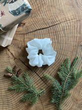 Load image into Gallery viewer, the gingersnap holiday box